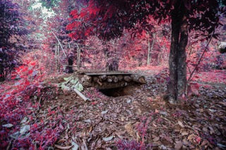 Blood on the Leaves: Photo 1
