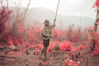 Blood on the Leaves: Photo 3