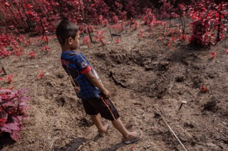 Blood on the Leaves: Photo 5